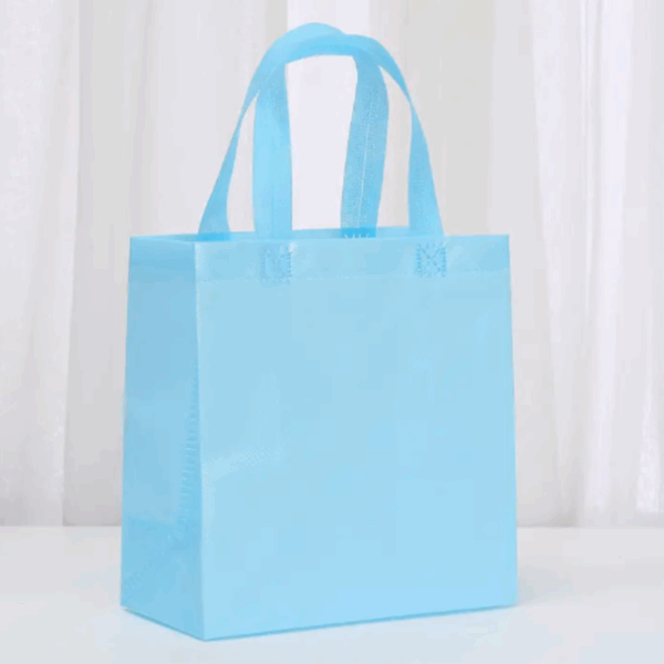 Bolsas de regalo chica en pvc reutilizable 23x22cm -Pack 12 -Color Verde agua