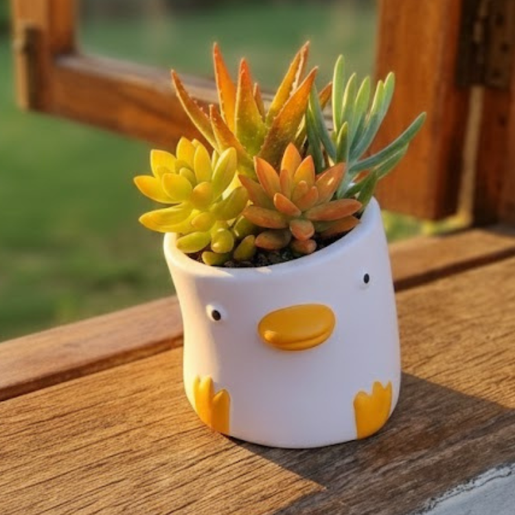 Mini Maceta Cerámica diseño Cerdito o Patito- Ideal para Suculentas y Tunitas – Decoración Cute - Imagen 2